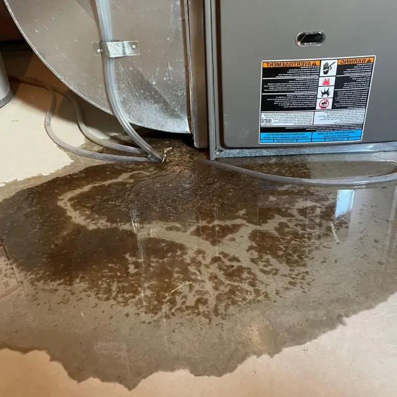 Pipe Burst and Leak Restoration in Queen Anne, MD